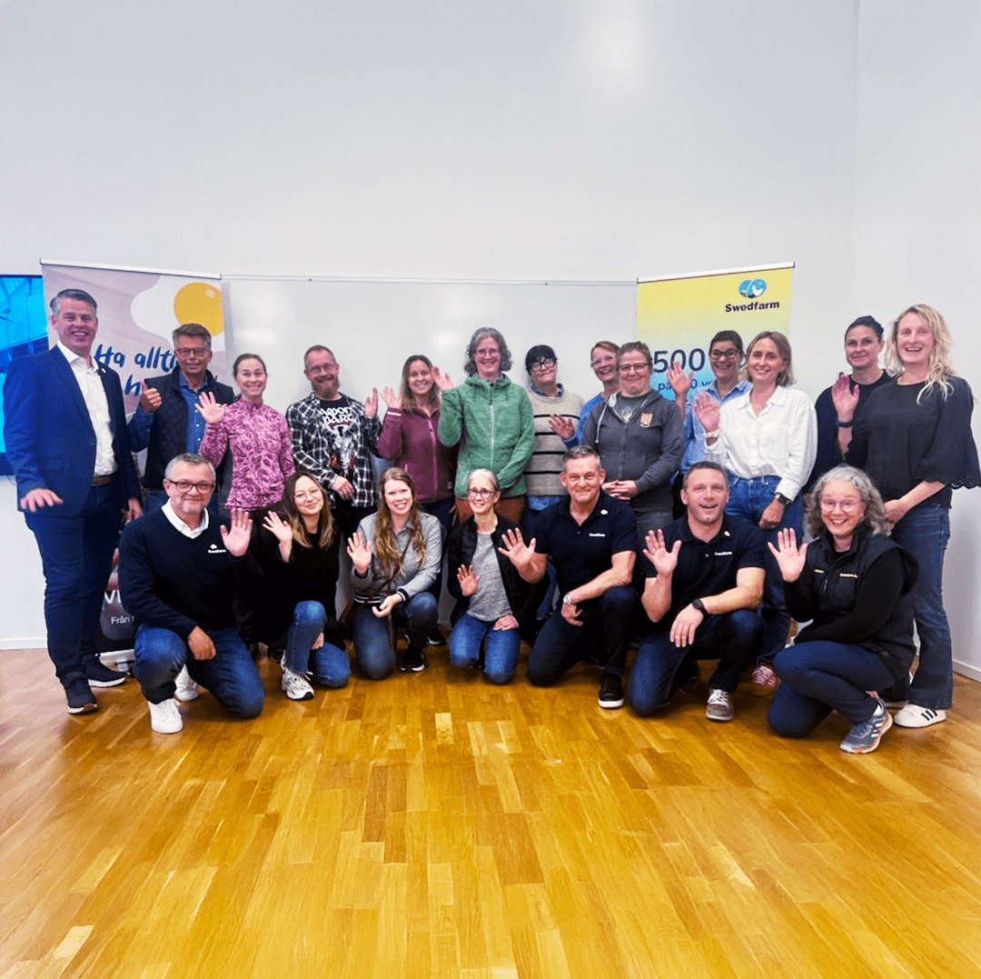 Svenska äggs myndihetsresa