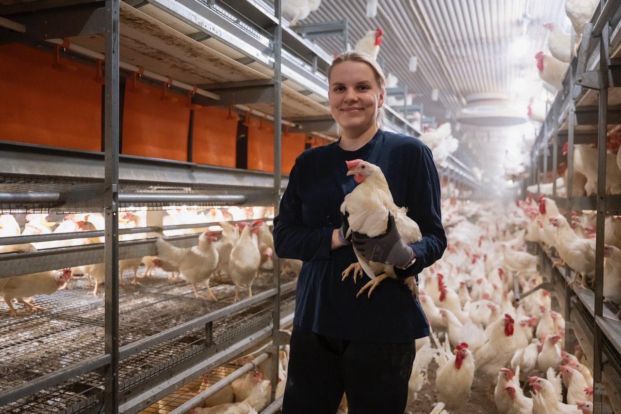 2024058 20241003DSC_4624 Tolarp Swedfarm 2024058 20241003DSC_4624 Tolarp Swedfarm