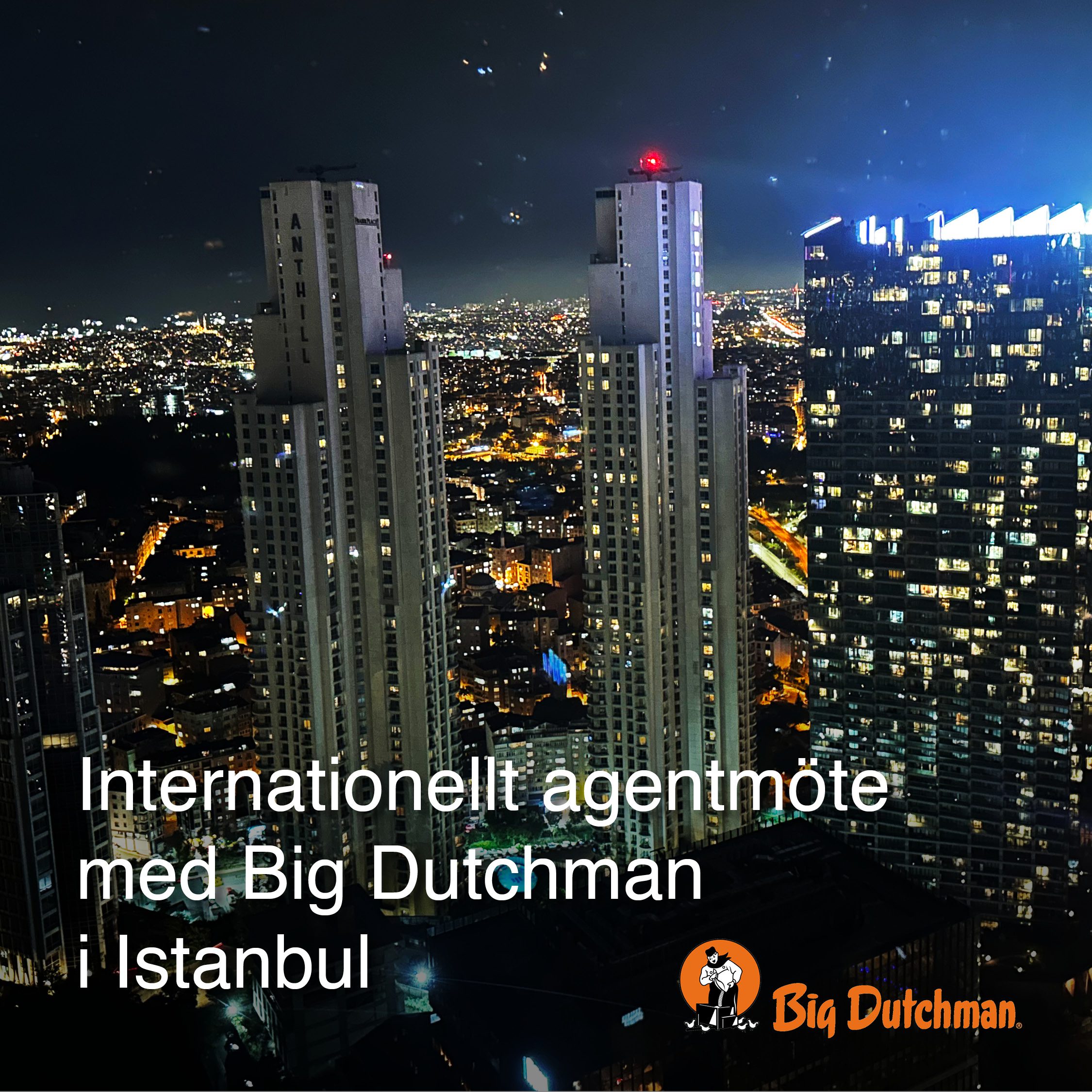 istanbul bigD