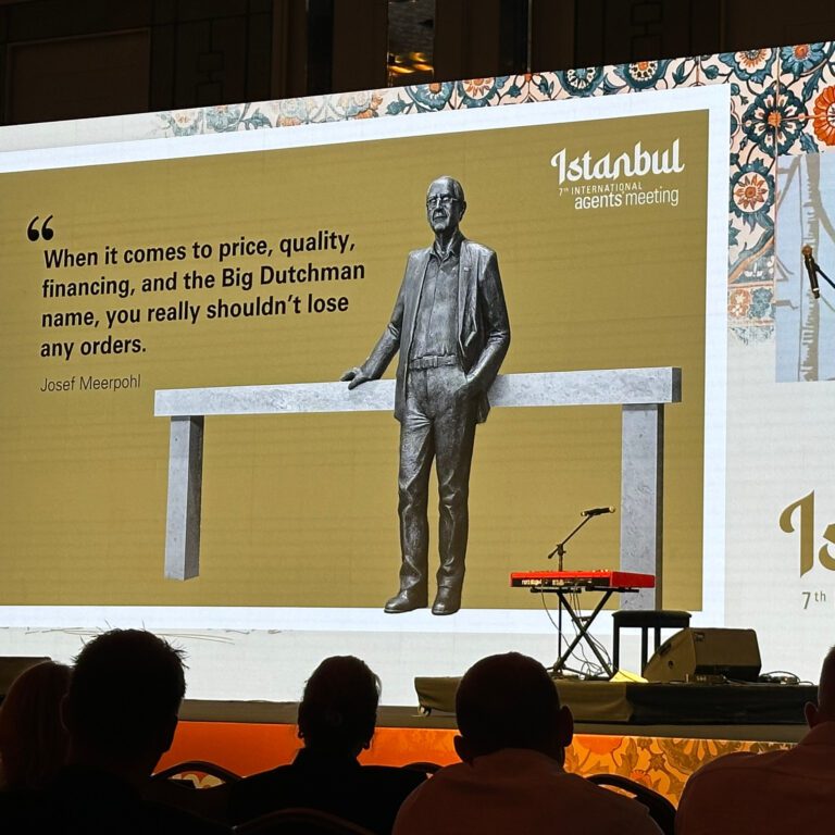 istanbul bigD6